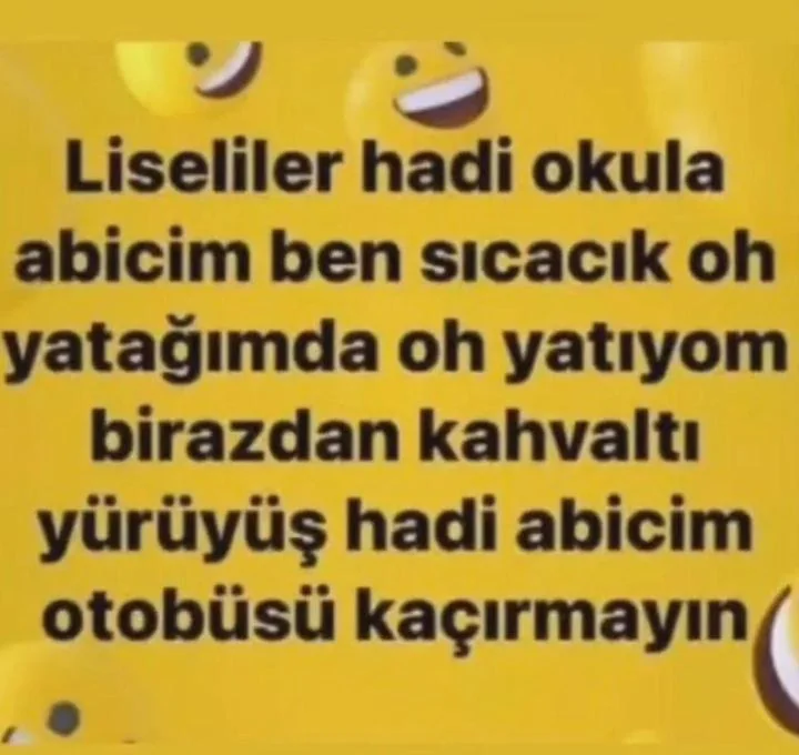 1757275091591.webp