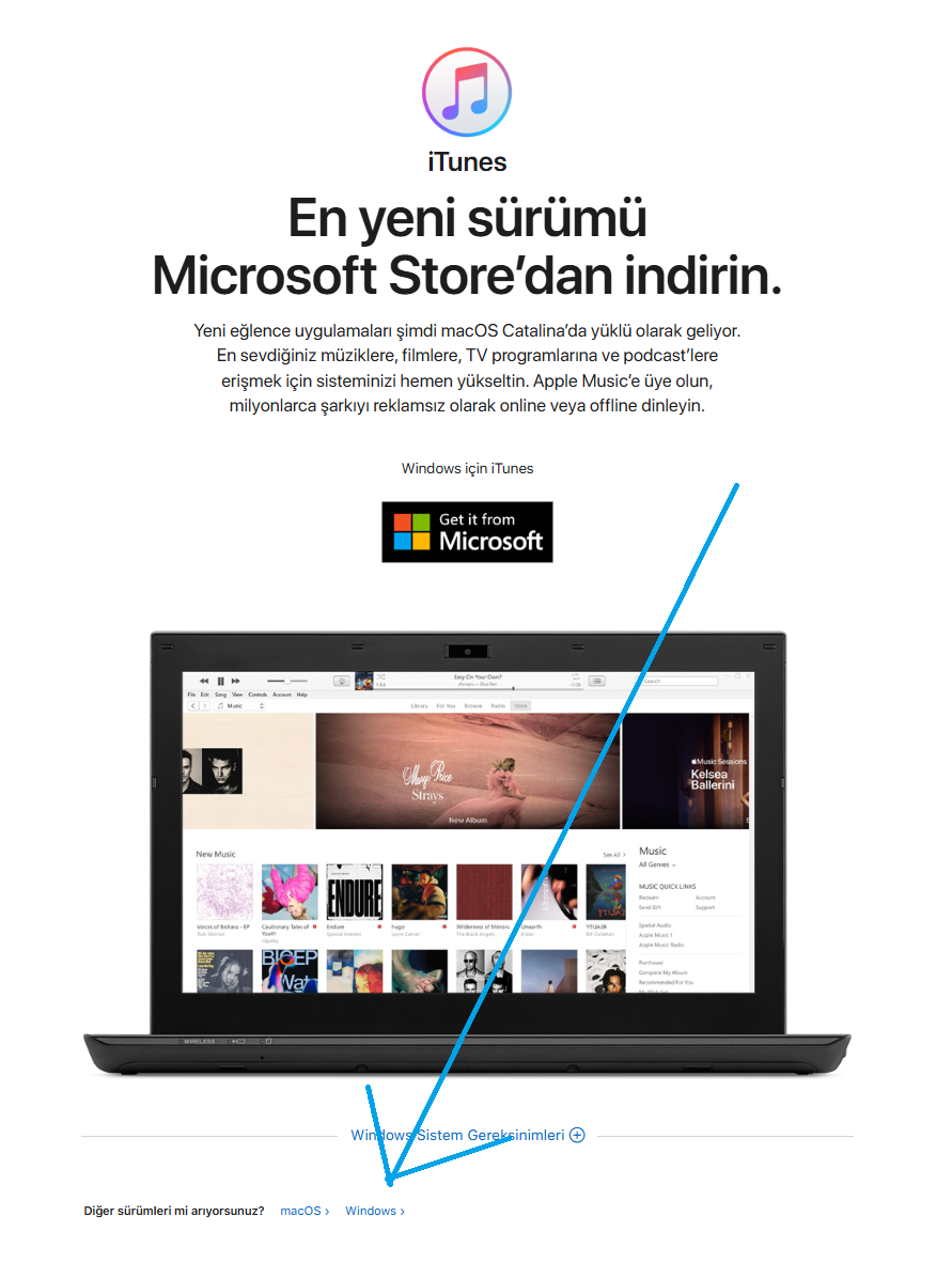 1757440404353.webp