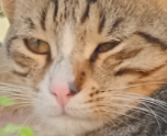 1757945156257.webp
