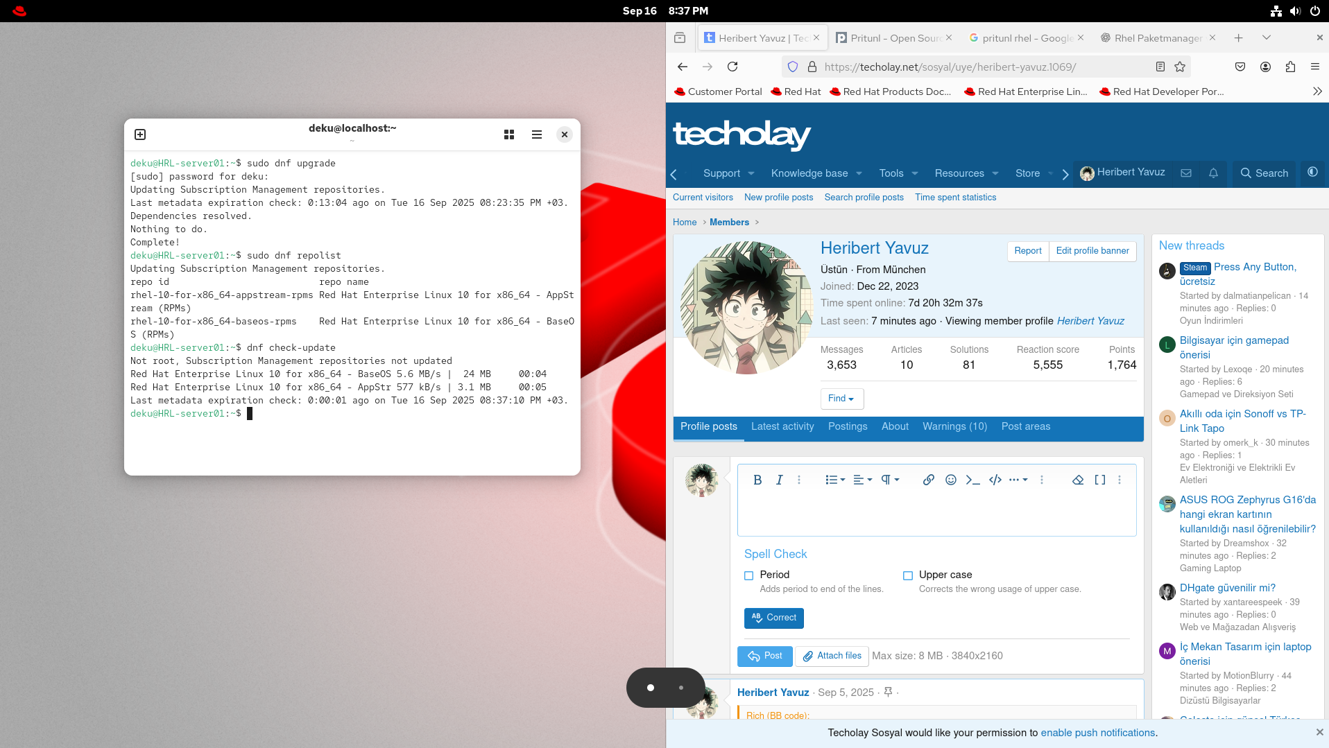1758044253016.webp