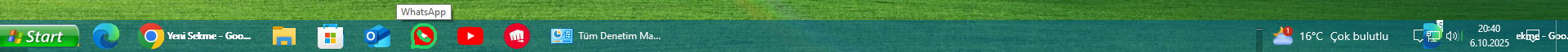 1759772464793.webp