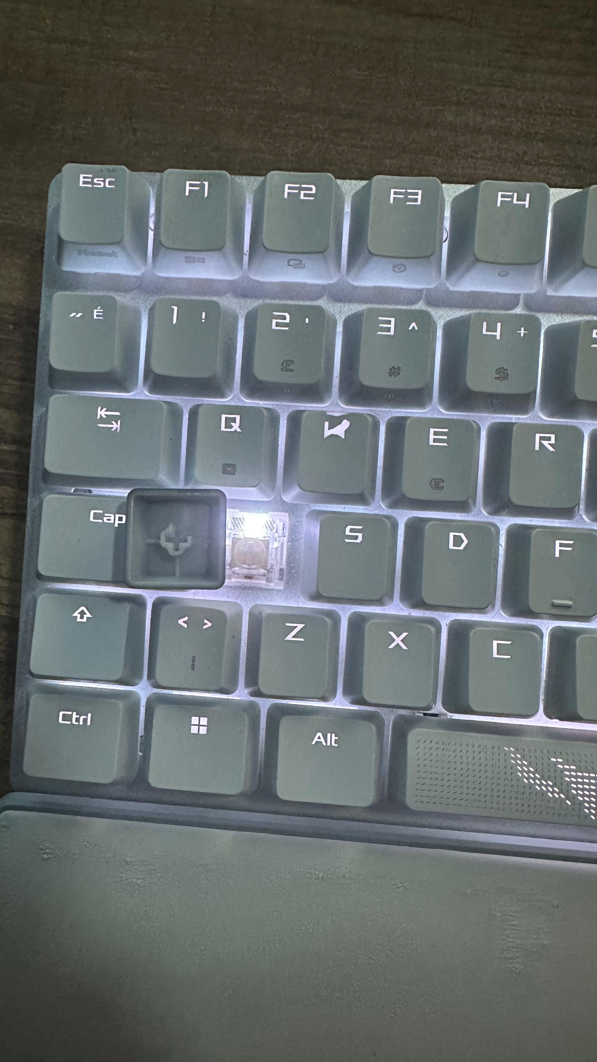 1760259831621.webp