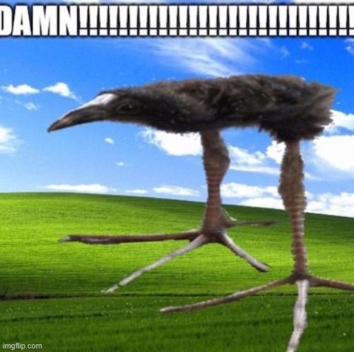 1760450579034.webp