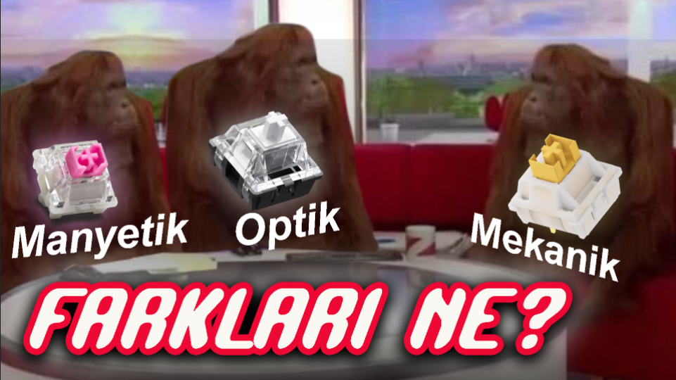 1760977020621.webp