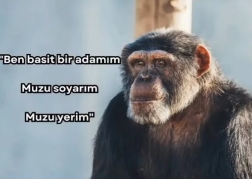 1761059574345.webp