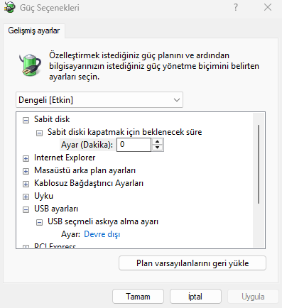 1761063227661.webp