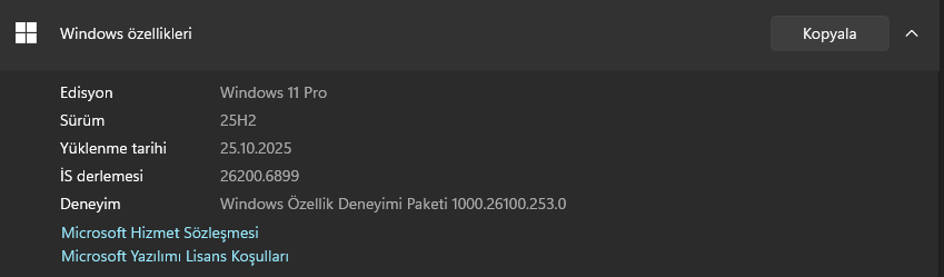 1761573817174.webp