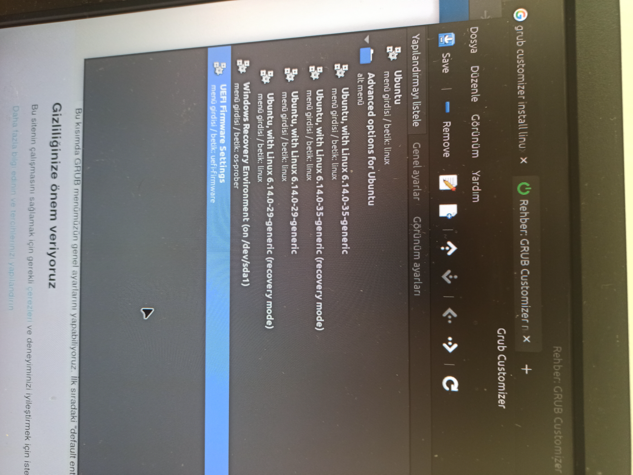17623501296438580320164726068311.webp