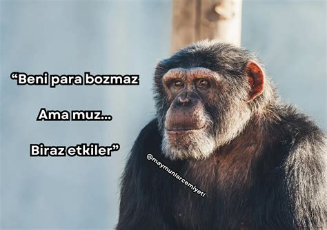 1762708093000.webp