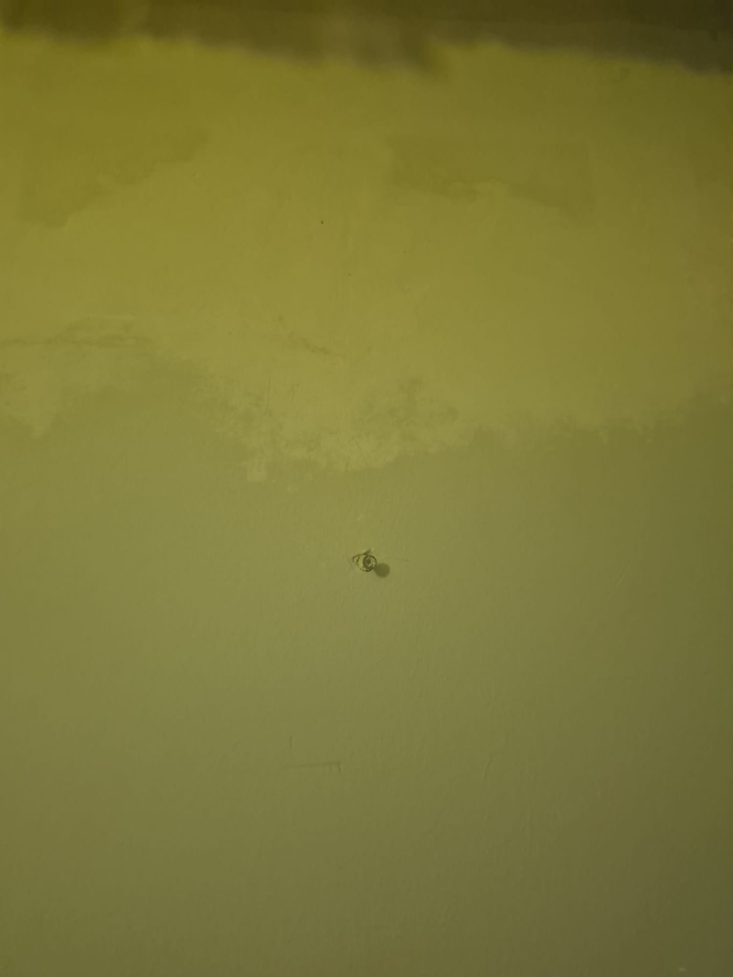 1762800409769.webp