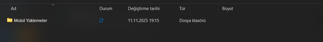 1762877770243.webp