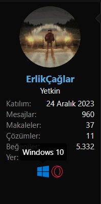 1763123328690.webp