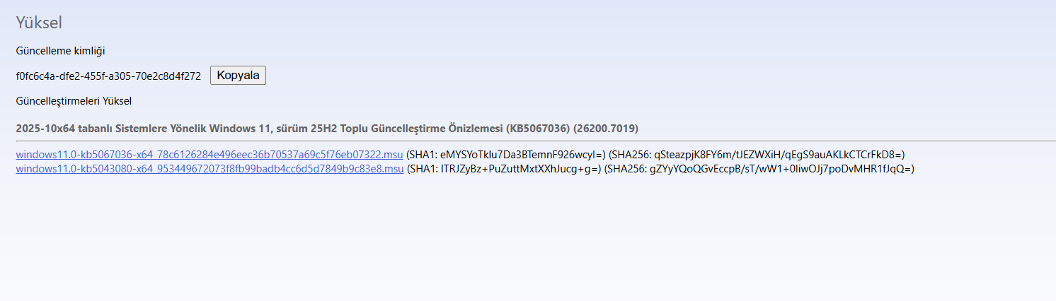 1763623898806.webp