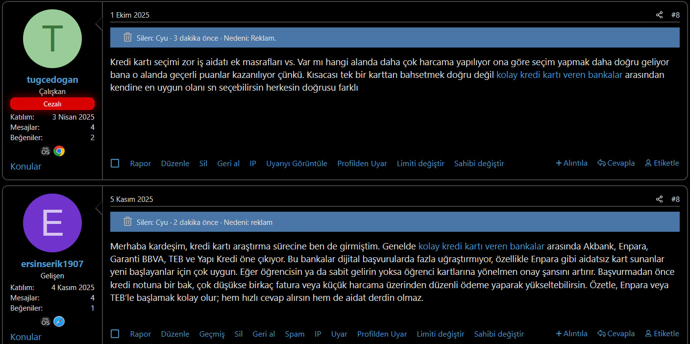 1763628145197.webp