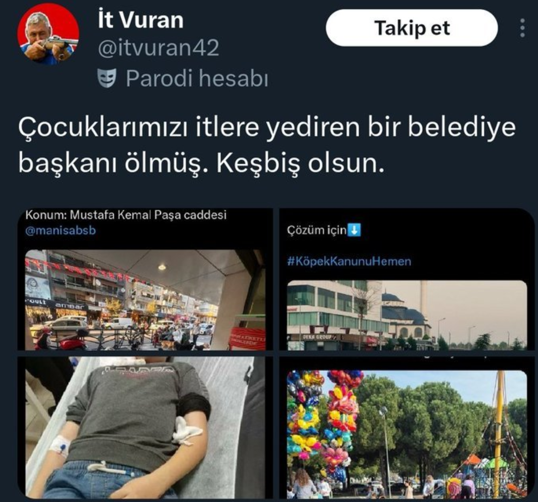 1763739201919.webp