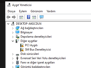 1763808266144.webp
