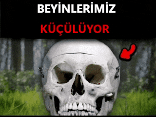 1763840355667.webp