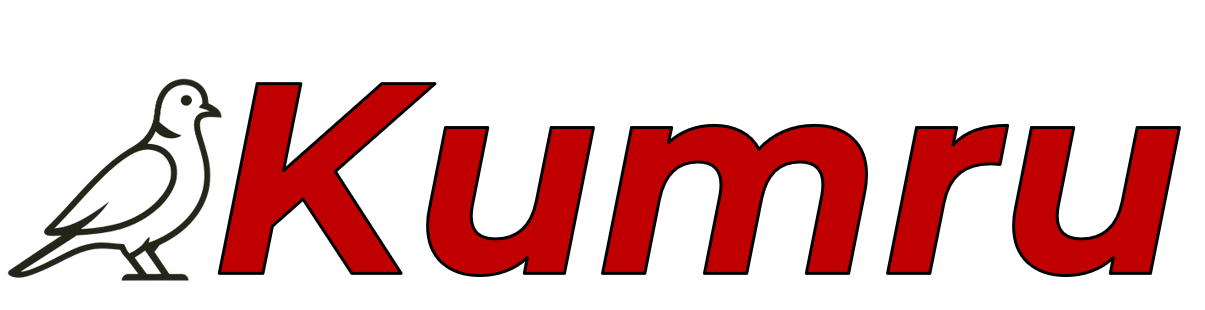 1764360315765.webp