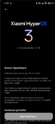 1764965061368.webp
