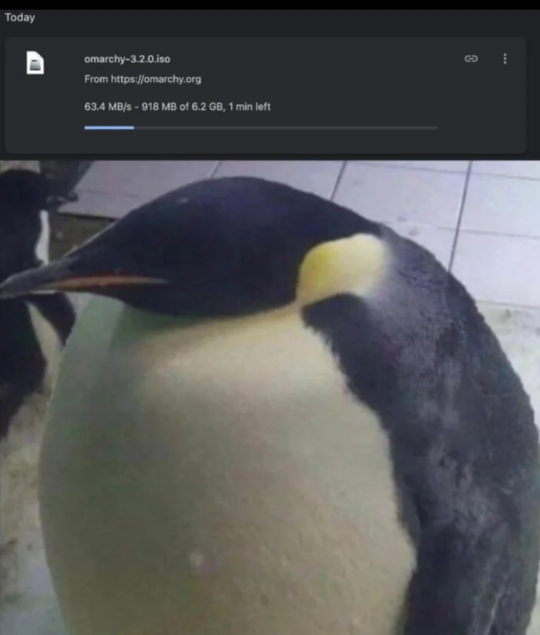 1765100067017.webp