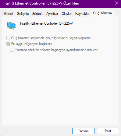 1766682137381.webp