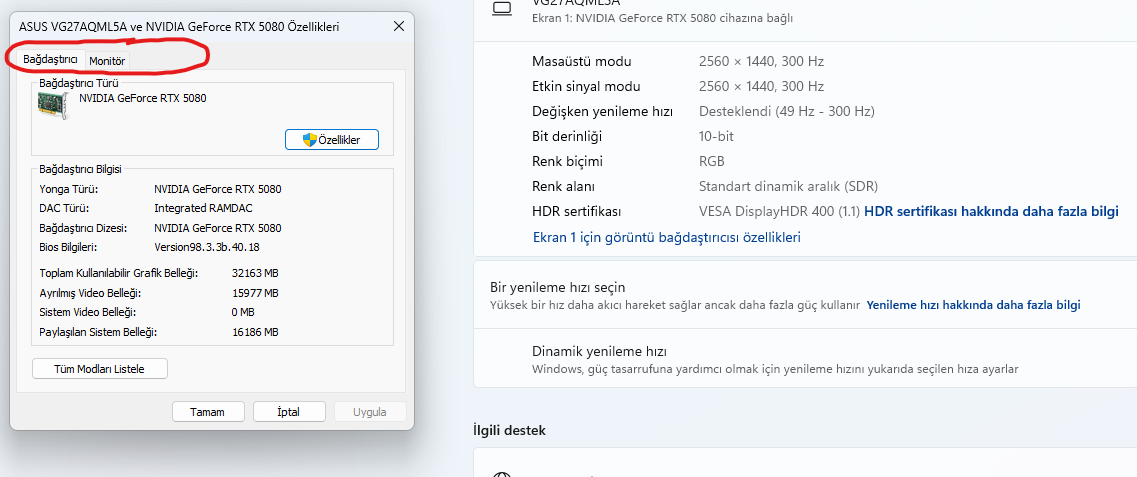 1767287902682.webp