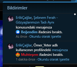 1767441778387.webp