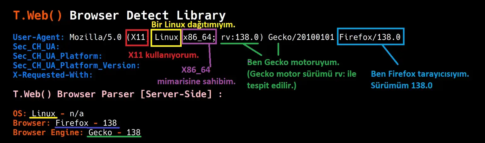 1768426915355.webp