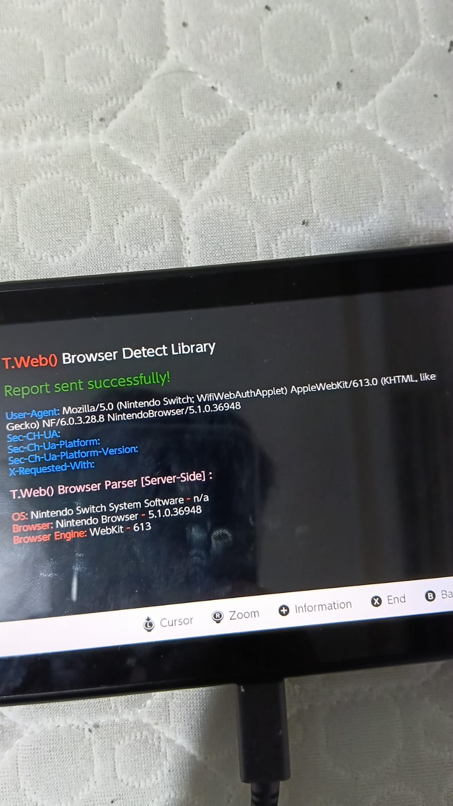 1768496045058.webp