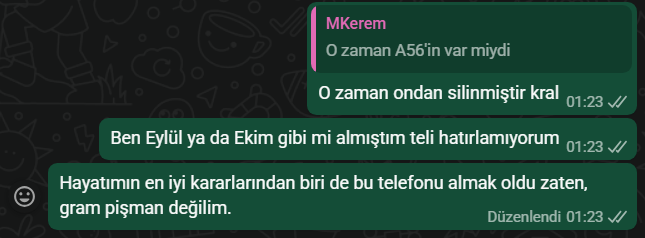 1768497691951.webp