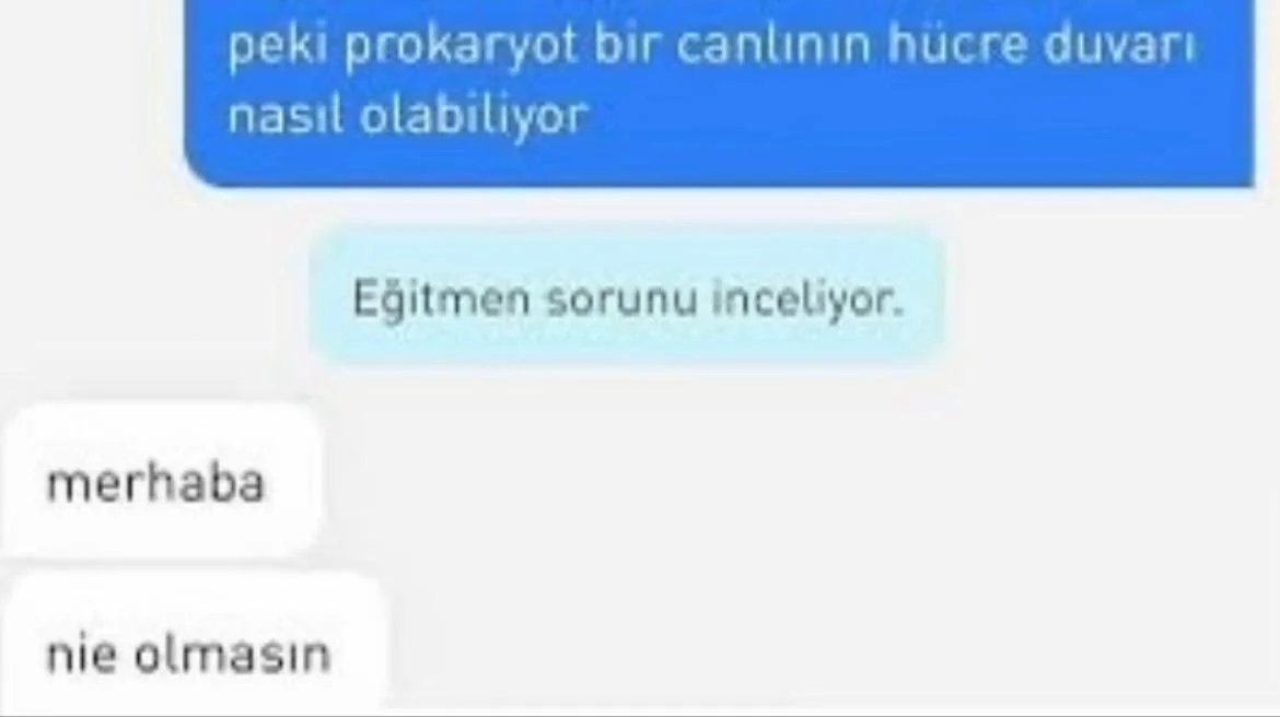 1768591152069.webp