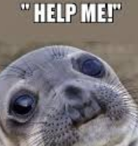 1768745801226.webp