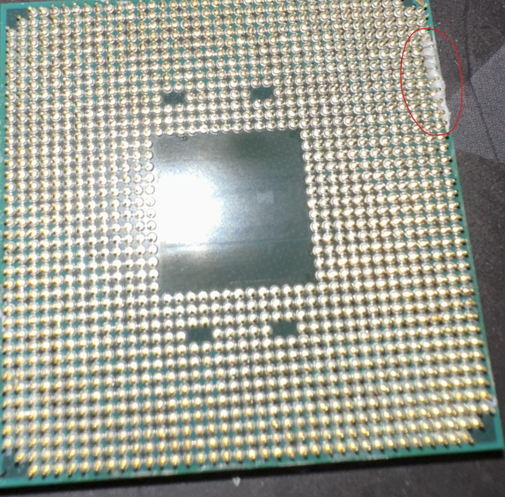 1770159749587.webp