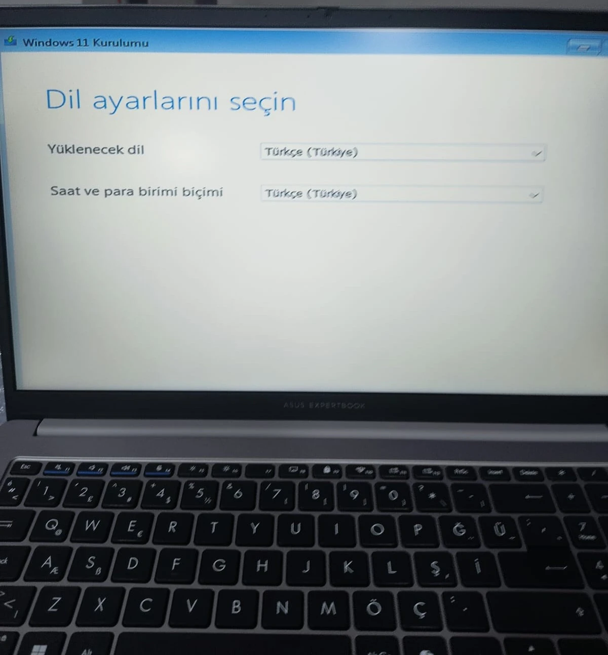 1770286066806.webp