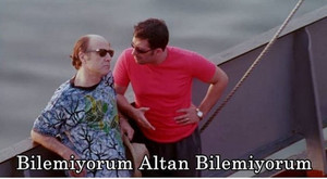1770384249132.webp