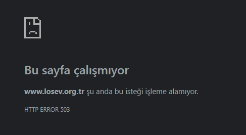 1771182380616.webp
