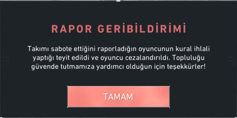 1771348389218.webp