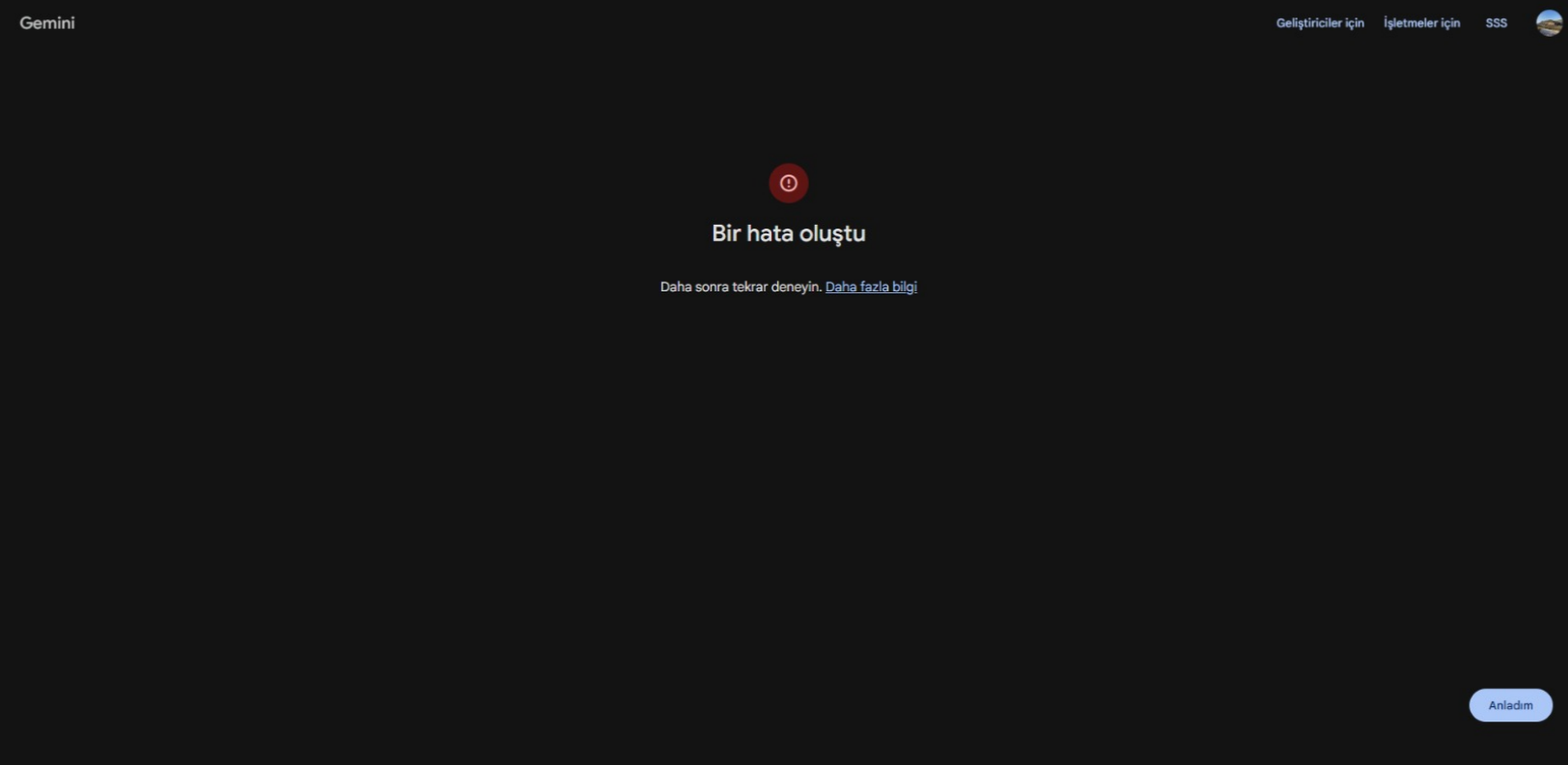 1771403442798.webp