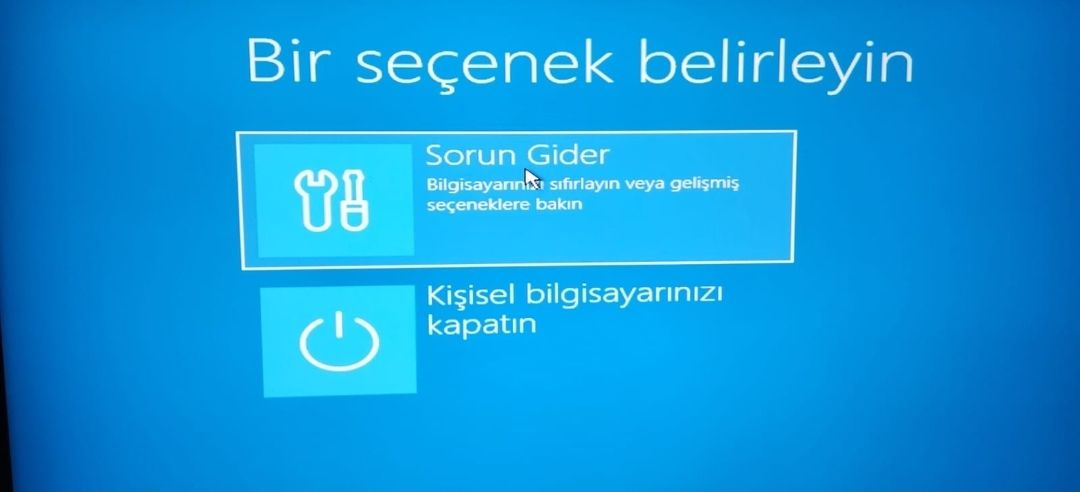 1771425199748.webp
