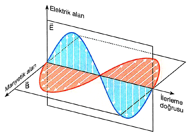 1771594848662.webp