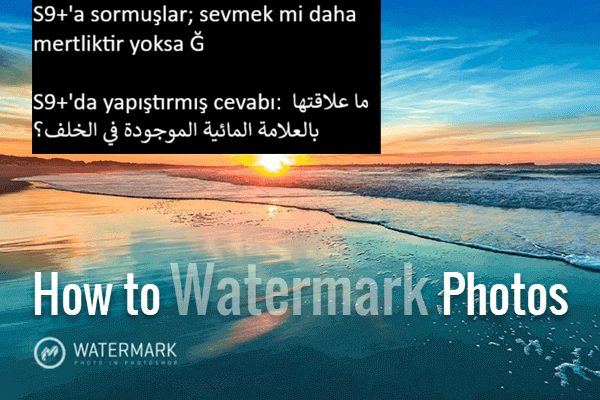 1771686382765.webp
