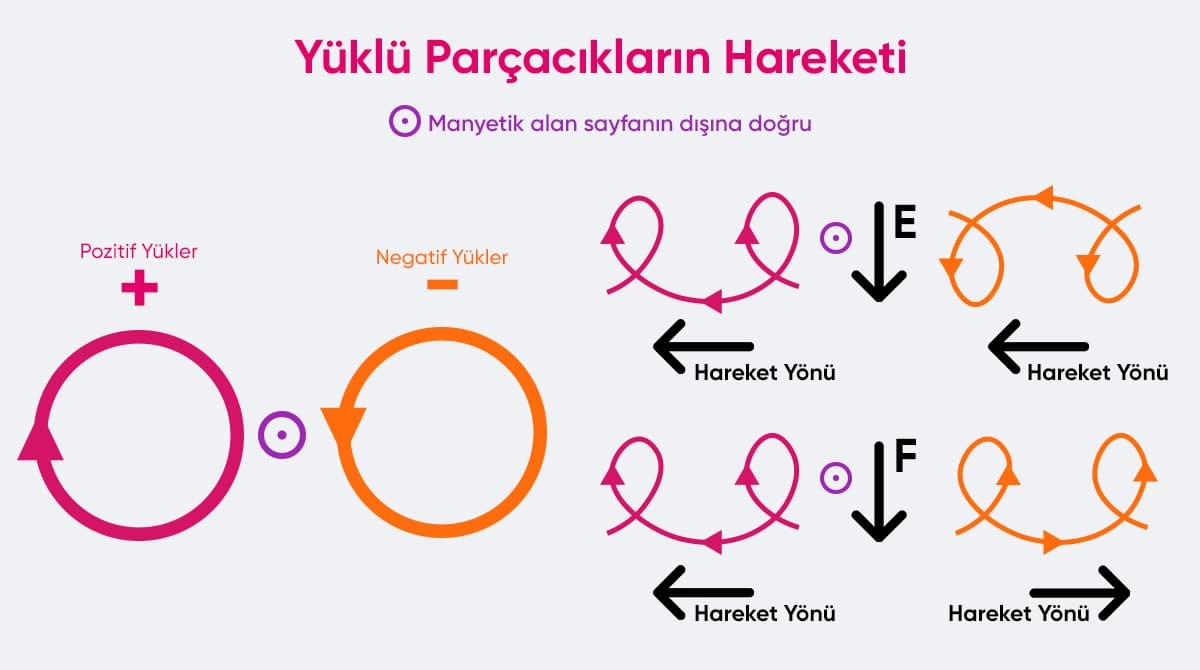 1771934085437.webp