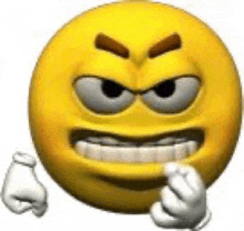 1772800486428.webp