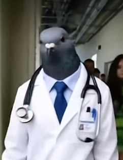 1772907191278.webp