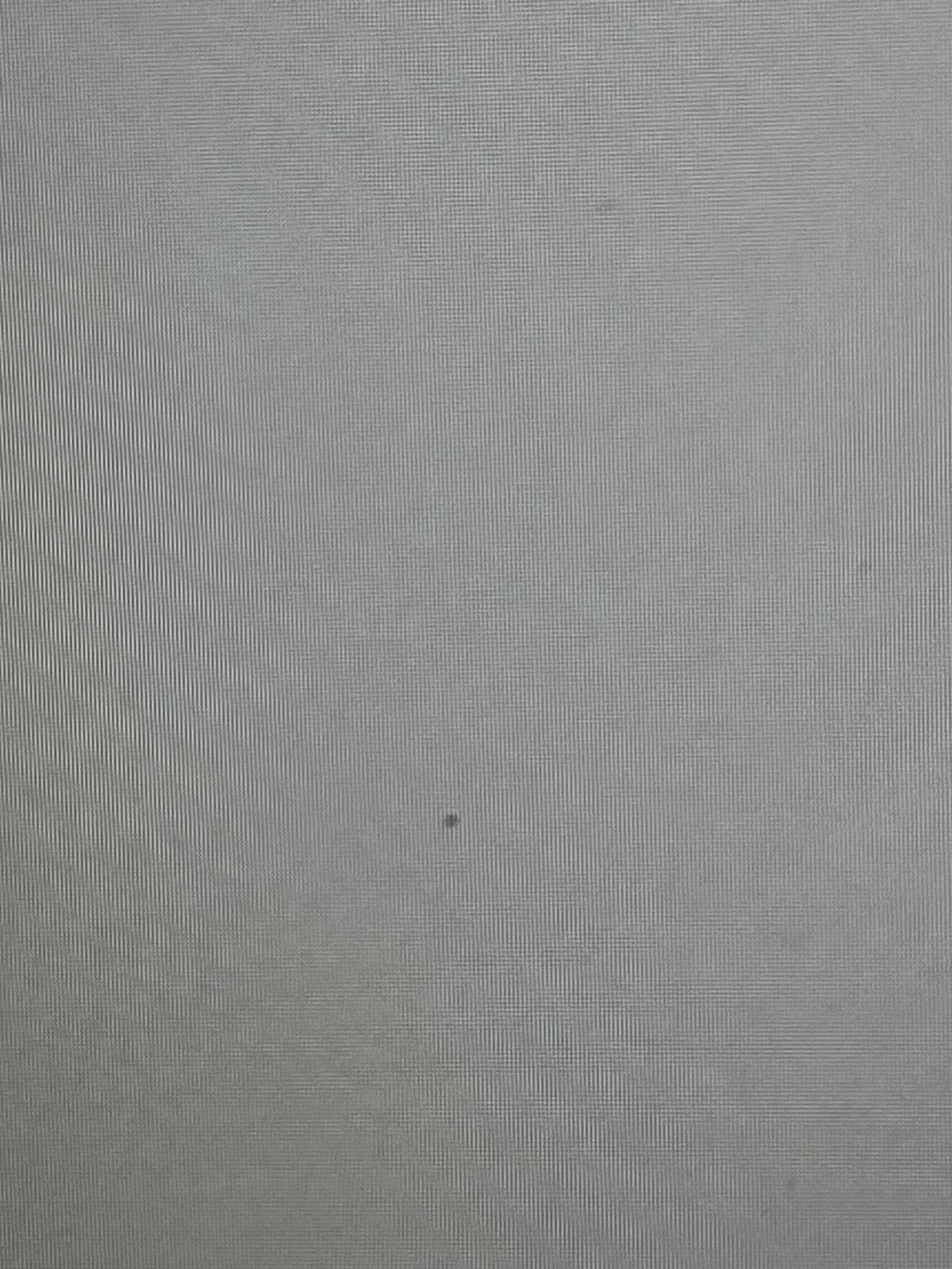 1773236979171.webp