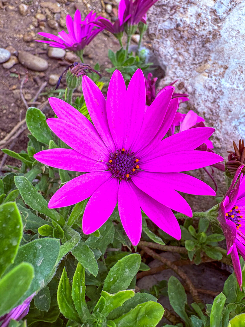 1773586108159.webp