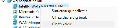 1774119673051.webp
