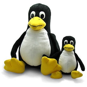 1774963657964.webp
