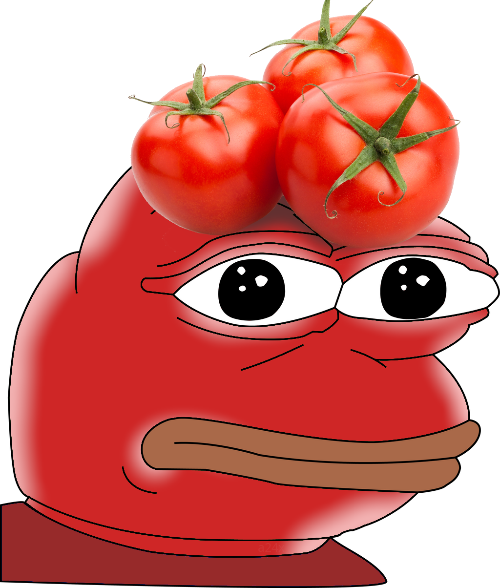 1775058210286512.webp