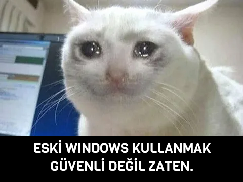 1775249647297.webp